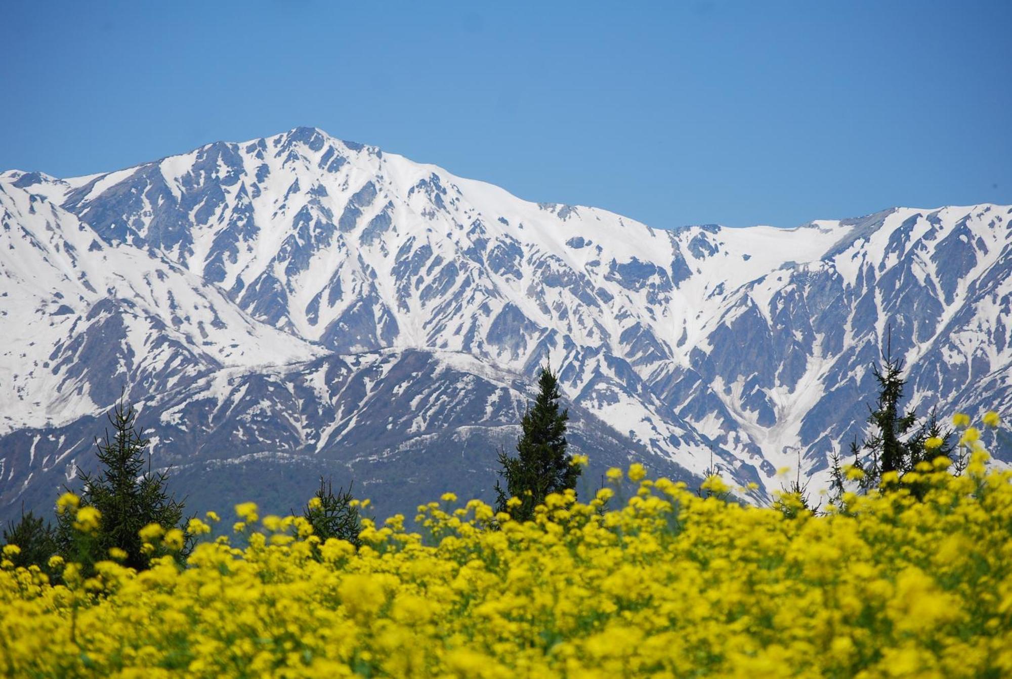 Hakuba Highland Hotel Dış mekan fotoğraf